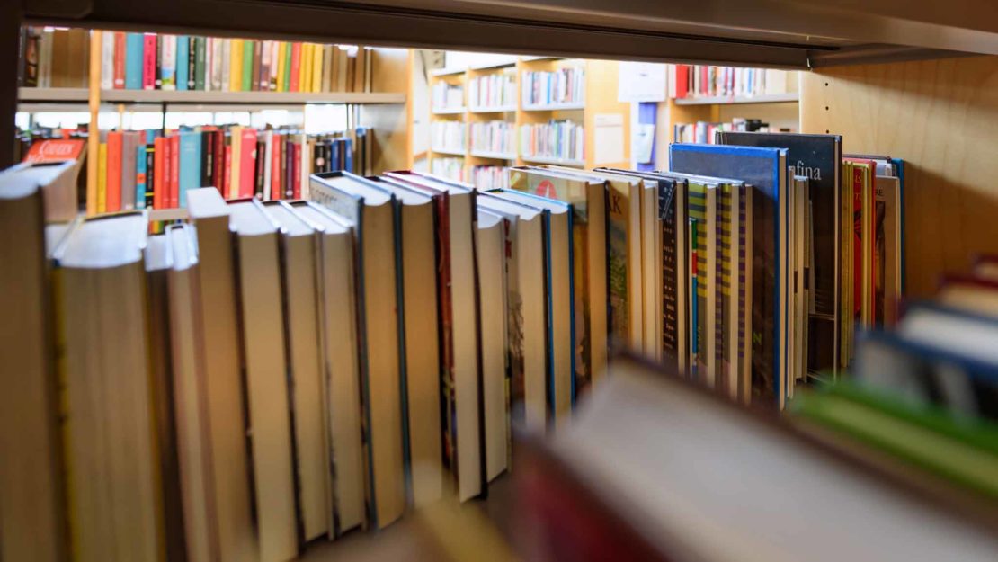 Likvärdigheten brister när det gäller beståndet av böcker och medier och när det gäller utbildning och anställningsgrad, konstaterar Skolinspektionen. Foto: Getty. 